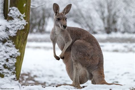17 of the Best places to visit in Australia in Winter.